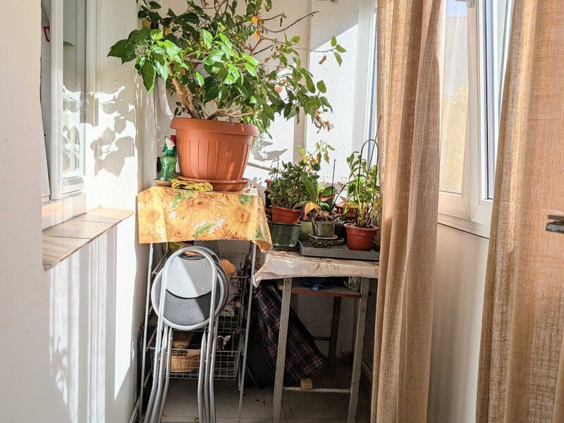 Mosilor, Eminescu, decomandat, et 5, bl. 1982